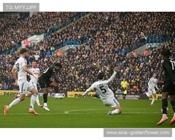 布伦特福德1-1利兹联：升班马德比，平局收场