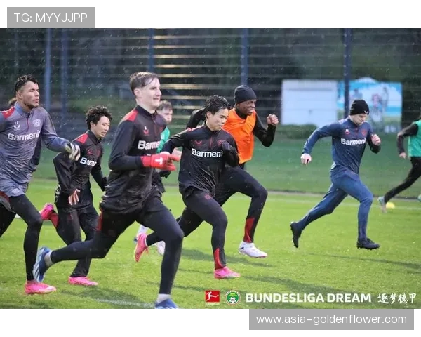 德甲青年队赛事场馆升级，青训基础设施投入加大