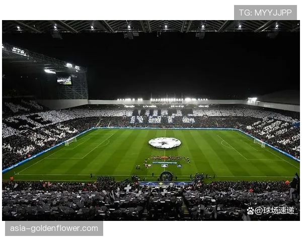 为满足欧足联要求，里昂公园球场启动灯光系统升级工程